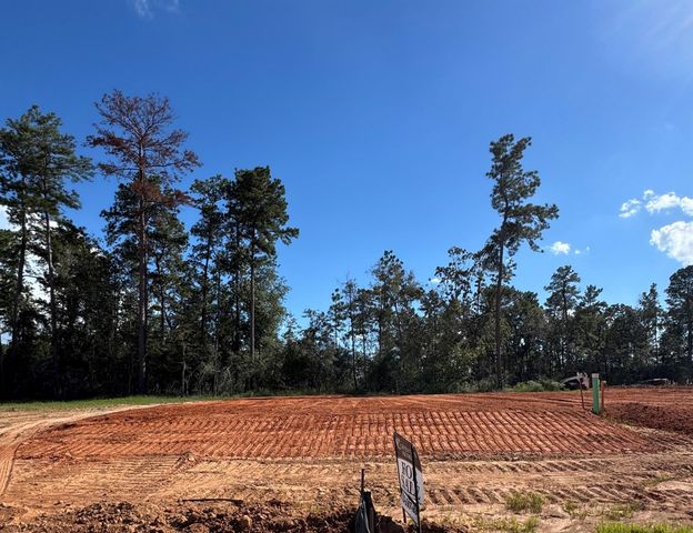 9153 Grand Jubilee Drive, Montgomery, TX 77316