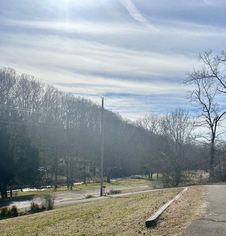 102 Rock Church Cemetery Rd, Charlotte, TN 37036