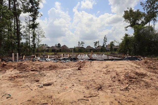 18418 Lovelier Lane, Conroe, TX 77302
