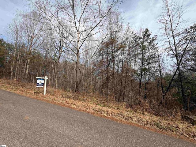 110 Sawmill Road, Marietta, SC 29661