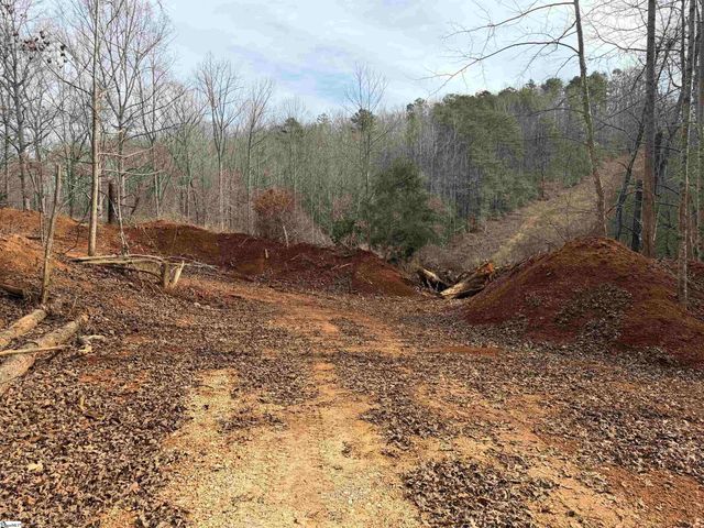 110 Sawmill Road, Marietta, SC 29661