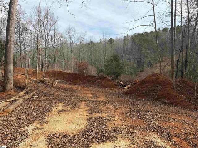 110 Sawmill Road, Marietta, SC 29661