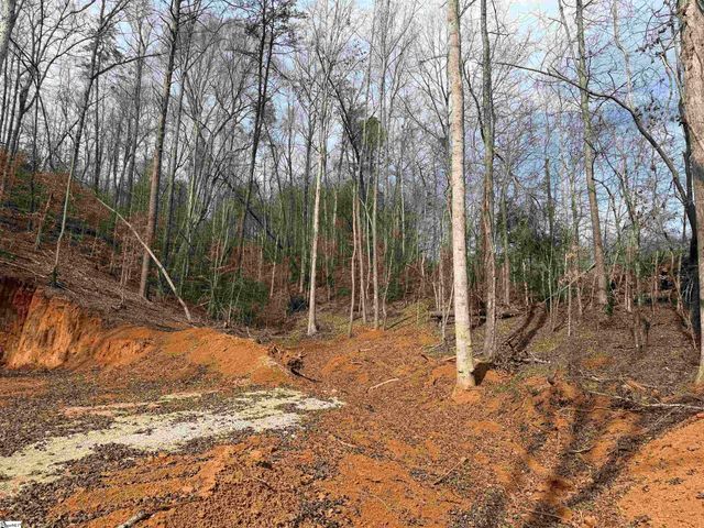 110 Sawmill Road, Marietta, SC 29661