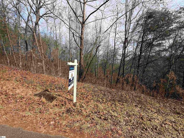 110 Sawmill Road, Marietta, SC 29661