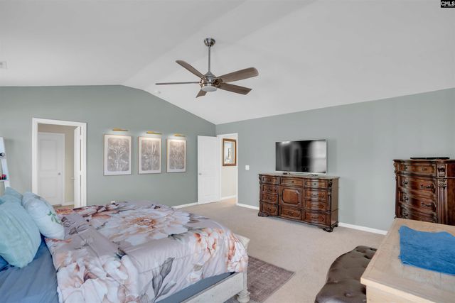 818 Sunseeker Drive, Chapin, SC 29036