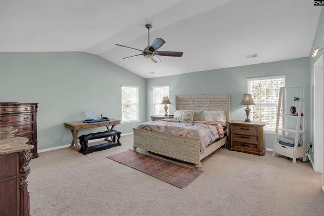 818 Sunseeker Drive, Chapin, SC 29036