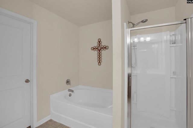 818 Sunseeker Drive, Chapin, SC 29036