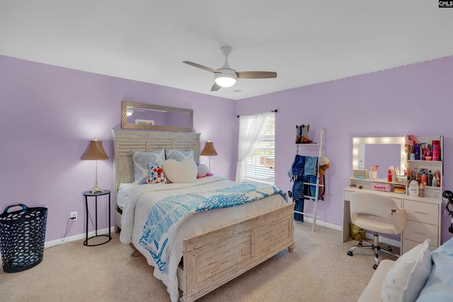 818 Sunseeker Drive, Chapin, SC 29036