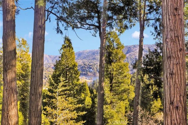 993 Mercury Way, Crestline, CA 92325