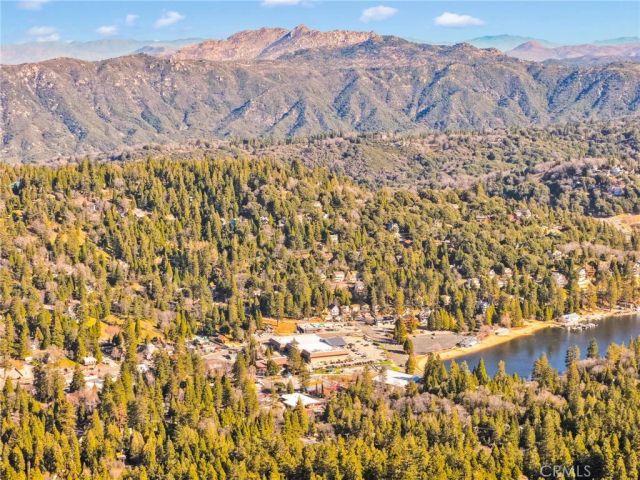 993 Mercury Way, Crestline, CA 92325