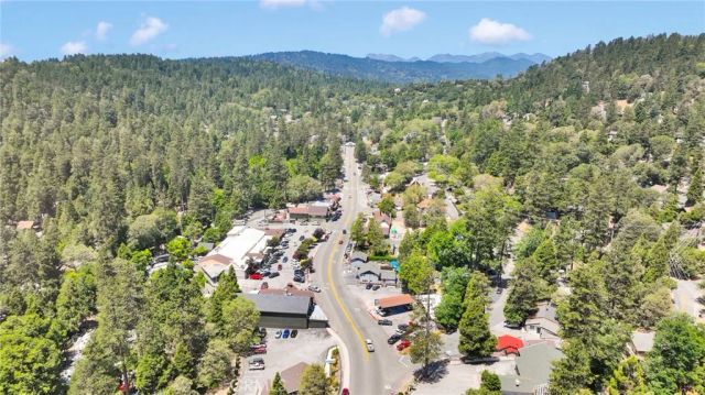 993 Mercury Way, Crestline, CA 92325