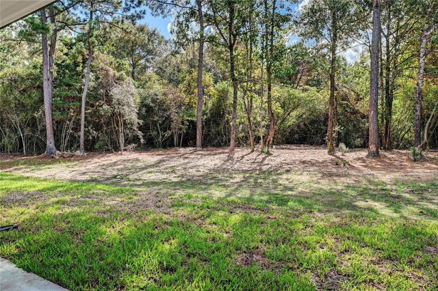 26127 E Crown Crossing Drive, Montgomery, TX 77316