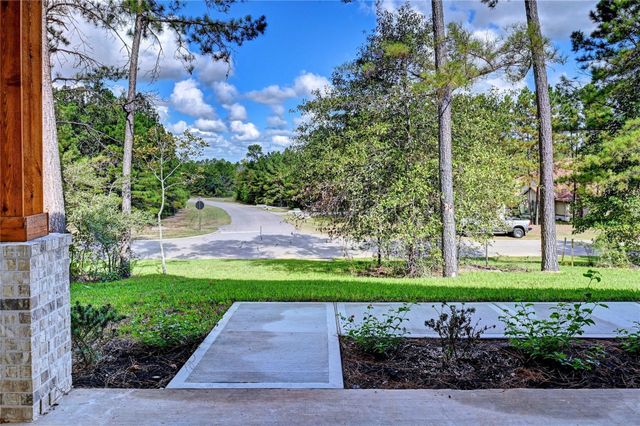 26127 E Crown Crossing Drive, Montgomery, TX 77316