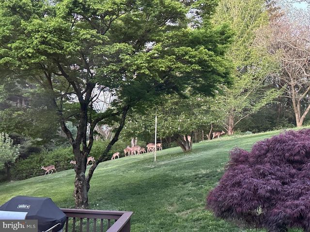 8390 BLOOMING GROVE RD, Glen Rock, PA 17327