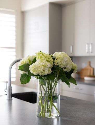 301 Longshore Street 423, Charleston, SC 29492