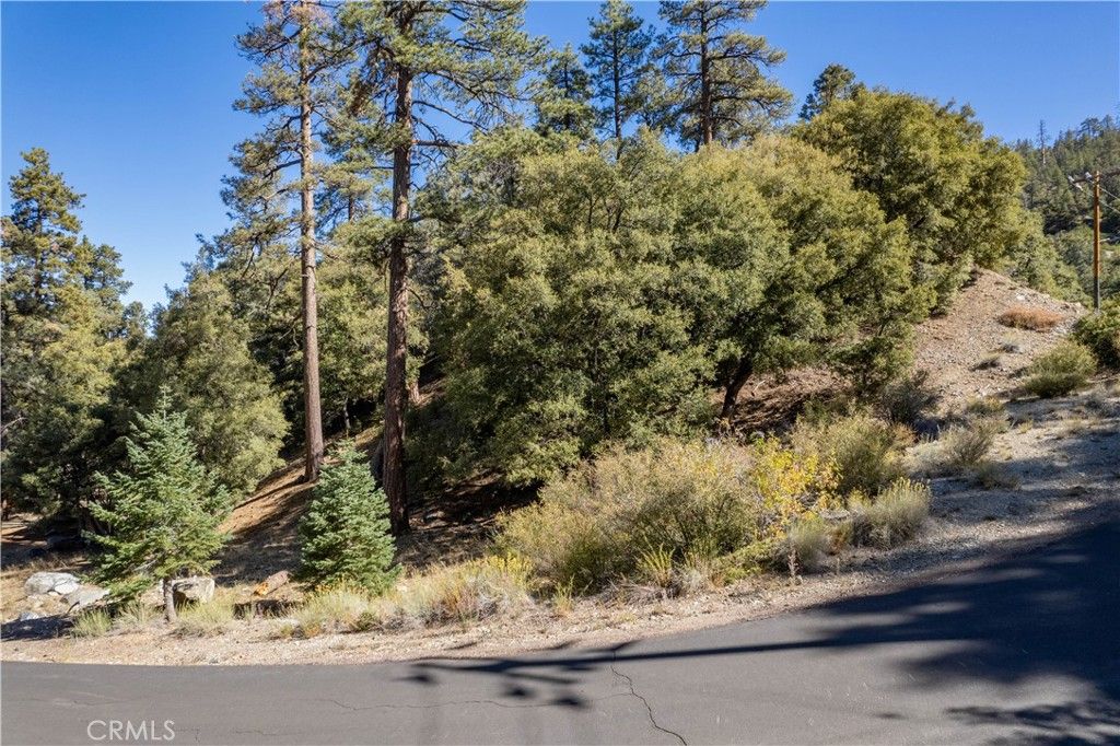 Image 1 of property listing at 1216 Banff Drive, Pine Mountain Club, CA 93222