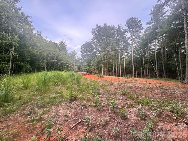 60 Upper Roberts Branch Road, Weaverville, NC 28787
