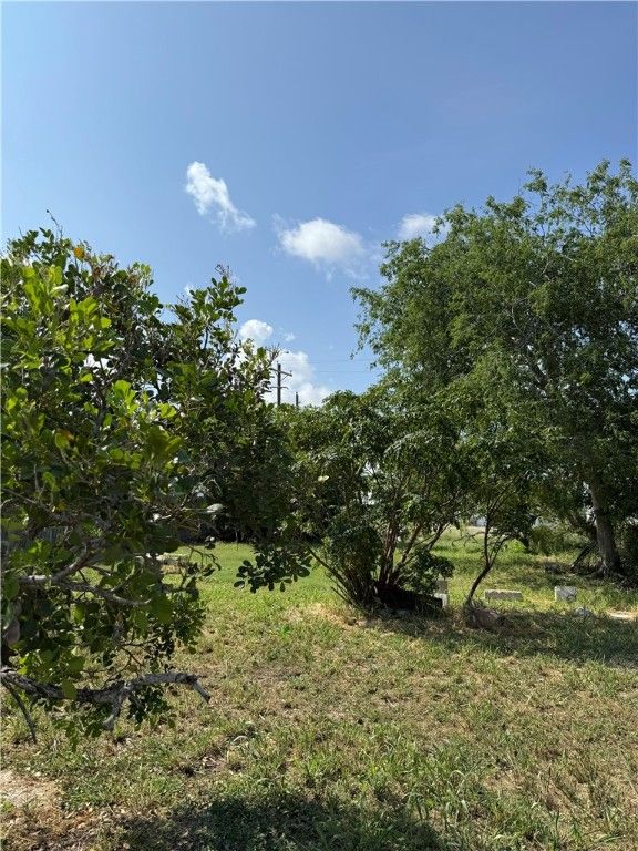 541 Van Cleve Dr, Corpus Christi, TX 78408 — photo 5