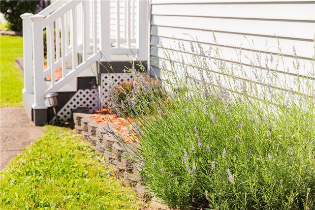 15 Old White Lane, Henrietta, NY 14623