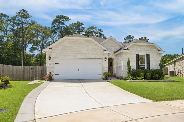 39200 Canyonville Court, Magnolia, TX 77354