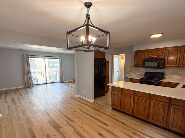 8504 W Catherine Avenue 2N, Chicago, IL 60656