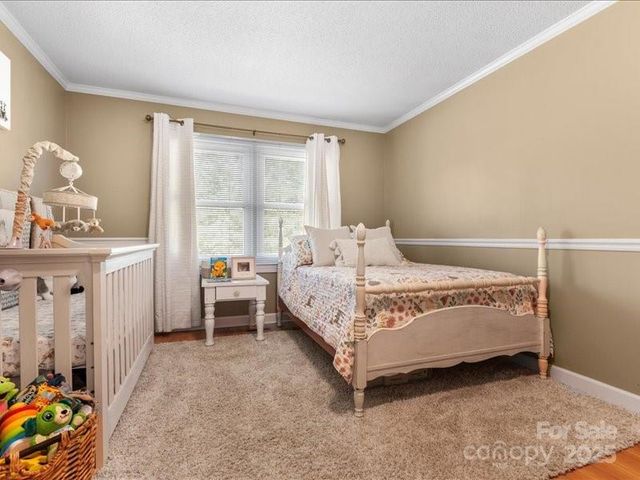 3337 Douglas Mill Road, Ruby, SC 29741