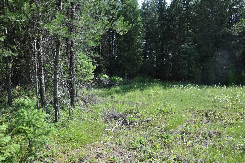 6065 - 6073 US Highway 93 N, Olney, MT 59927 photo 18