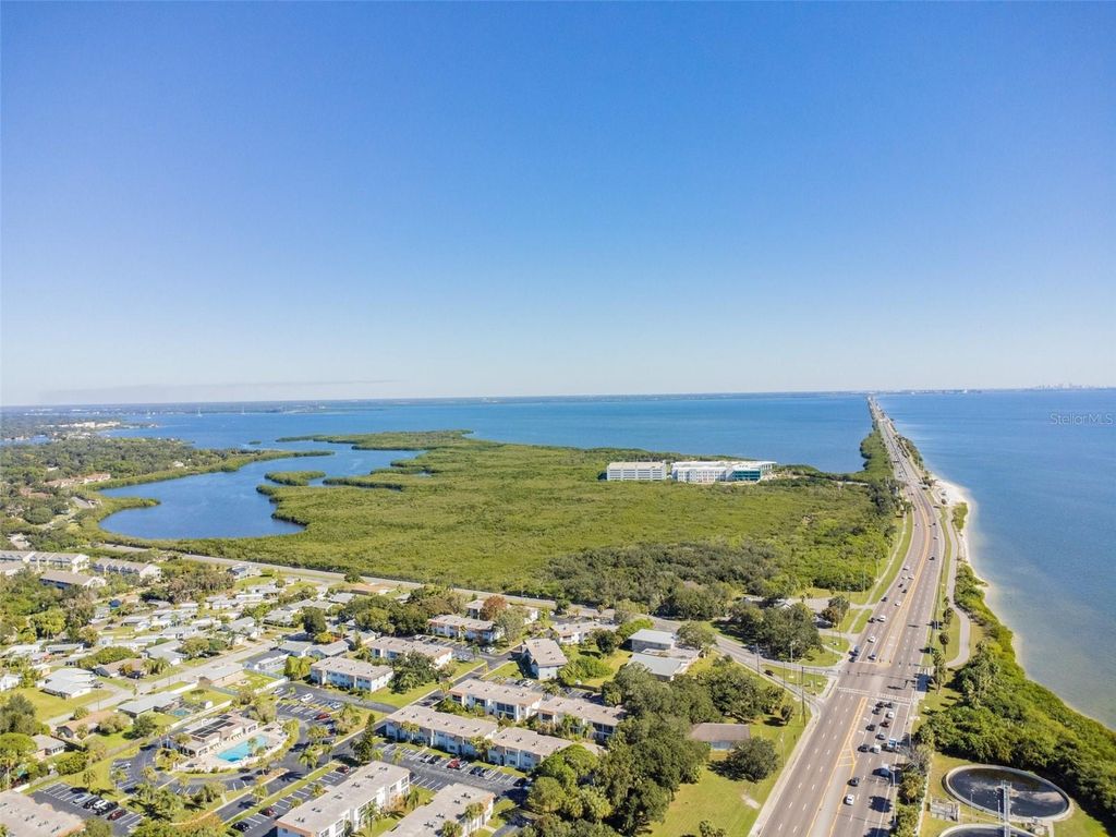 Image 72 of property listing at 345 S MCMULLEN BOOTH ROAD 142, Clearwater, FL 33759