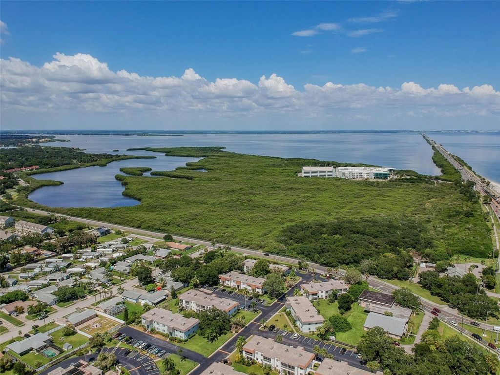 Image 82 of property listing at 345 S MCMULLEN BOOTH ROAD 142, Clearwater, FL 33759
