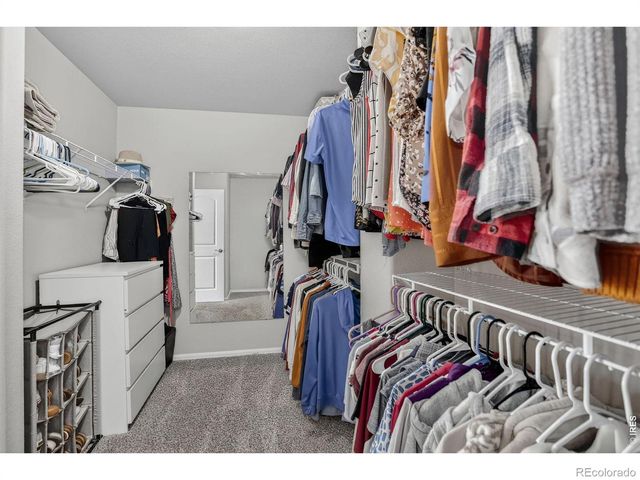 4492 Mountain Sky Street, Johnstown, CO 80534