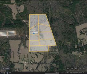 12403 FM 1975 Parcel C, Gilmer, TX 75644