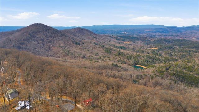 1665 Walnut Ridge, Ellijay, GA 30536