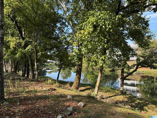 103 LAKE DAVIDSON LANE, Helena, AL 35080