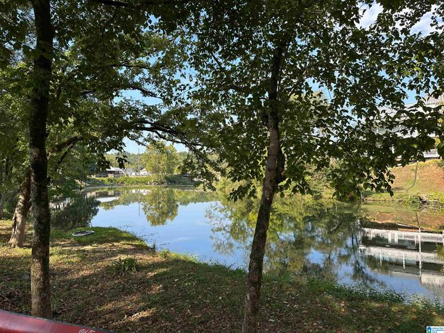 103 LAKE DAVIDSON LANE, Helena, AL 35080