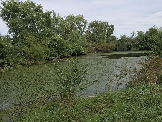 5900 S RIVER HILLS RD, Columbia, MO 65203