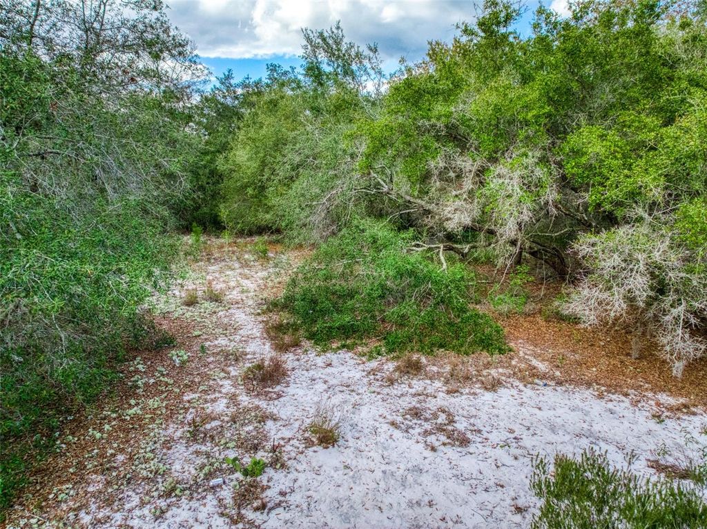 Image 11 of property listing at 113 WALKER AVENUE NE, Lake Placid, FL 33852