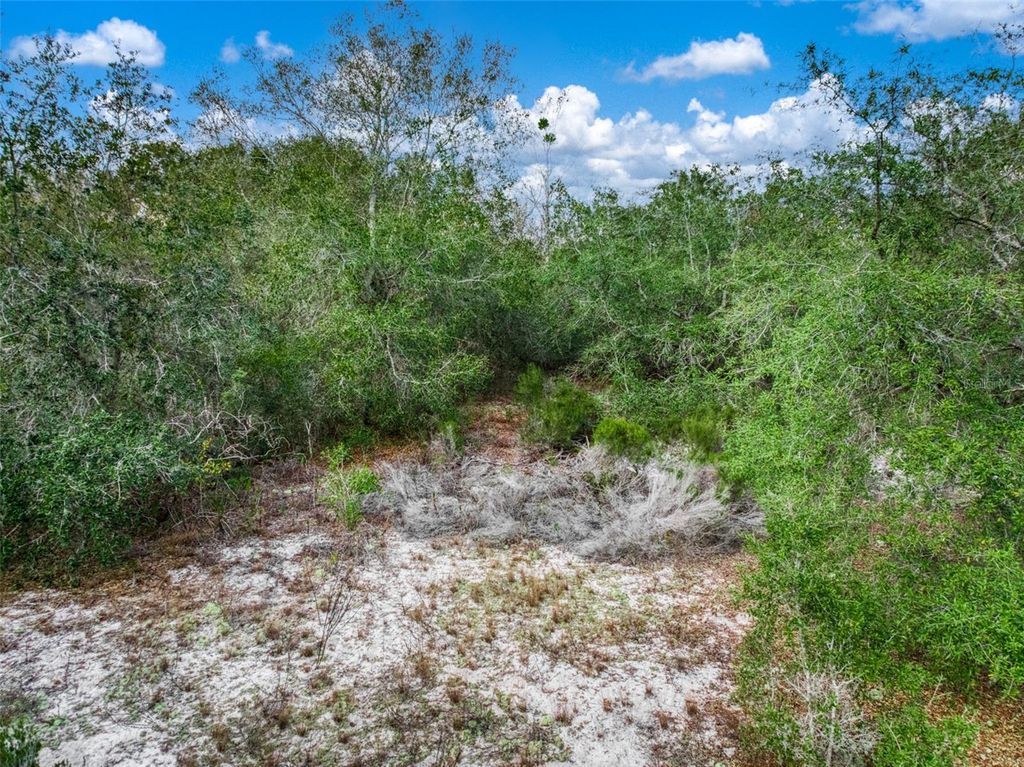 Image 12 of property listing at 113 WALKER AVENUE NE, Lake Placid, FL 33852