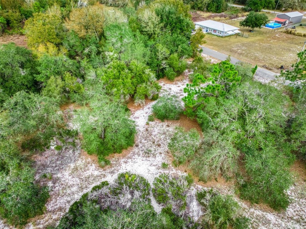 Image 13 of property listing at 113 WALKER AVENUE NE, Lake Placid, FL 33852