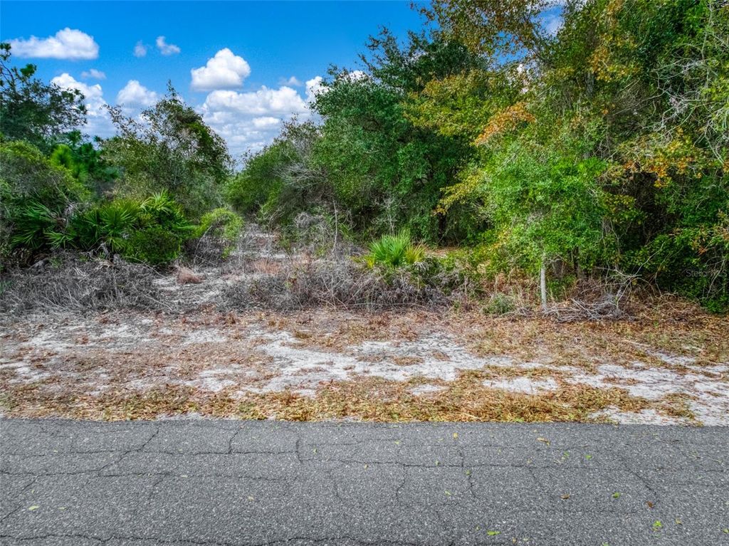 Image 14 of property listing at 113 WALKER AVENUE NE, Lake Placid, FL 33852