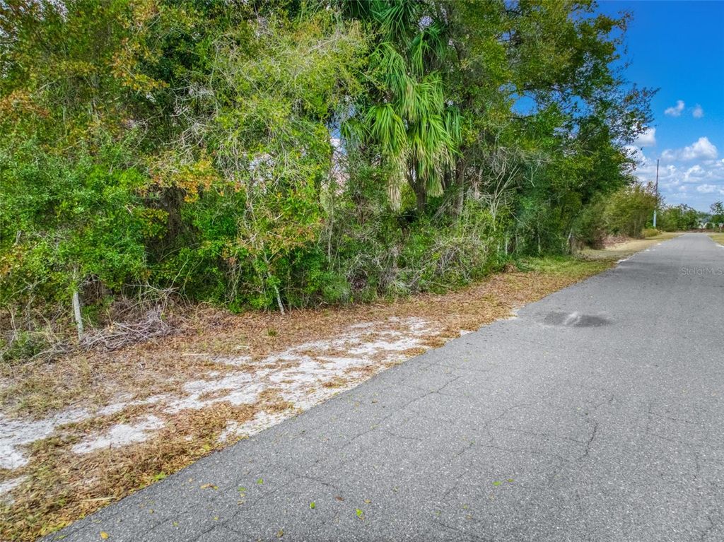 Image 15 of property listing at 113 WALKER AVENUE NE, Lake Placid, FL 33852