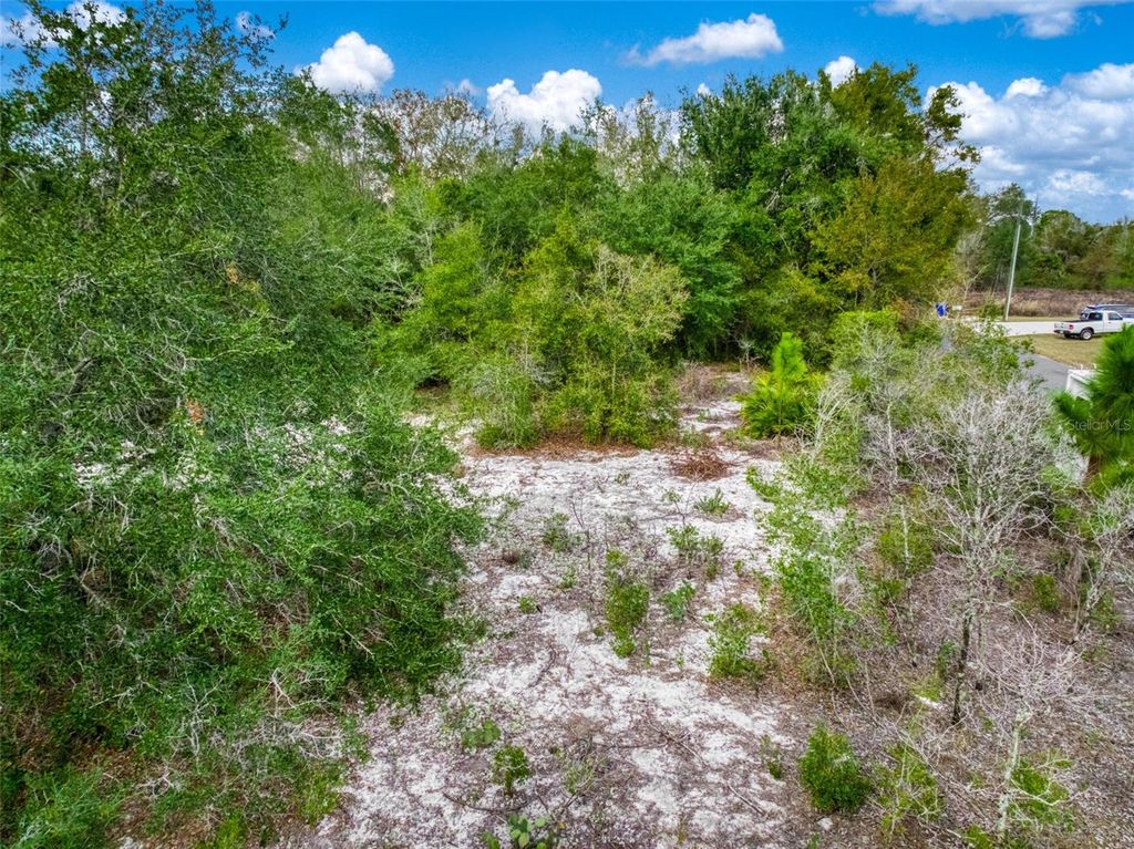 Image 16 of property listing at 113 WALKER AVENUE NE, Lake Placid, FL 33852