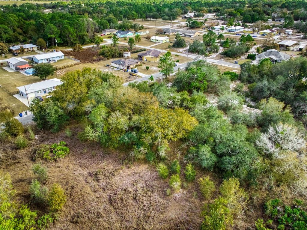 Image 8 of property listing at 113 WALKER AVENUE NE, Lake Placid, FL 33852