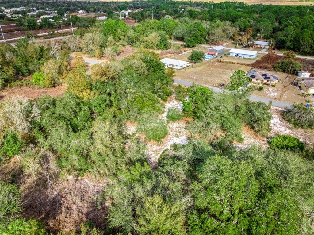 Image 9 of property listing at 113 WALKER AVENUE NE, Lake Placid, FL 33852