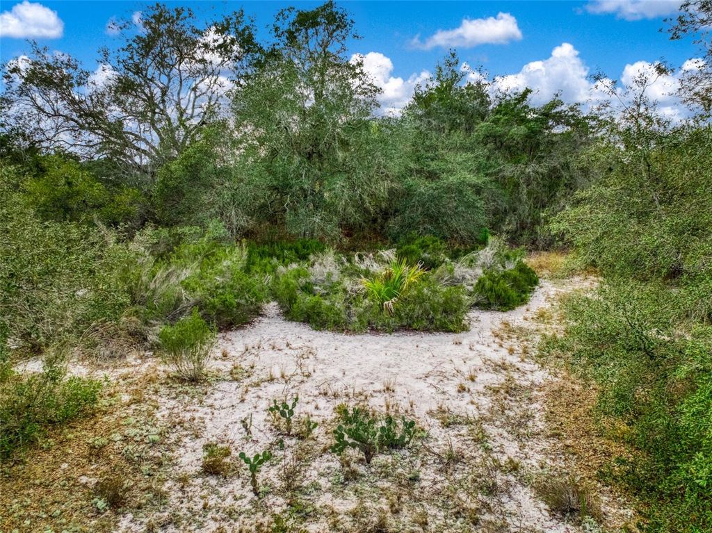 Image 10 of property listing at 113 WALKER AVENUE NE, Lake Placid, FL 33852