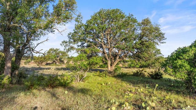 LOT 4 Vista Ridge, Round Mountain, TX 78663