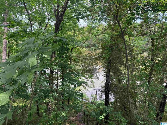 16375 HOLLY SPRINGS ROAD, Northport, AL 35475