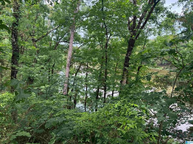 16375 HOLLY SPRINGS ROAD, Northport, AL 35475