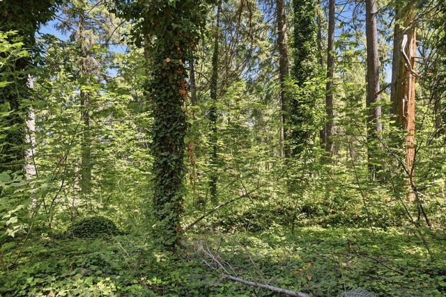 2792 Loyal Ln, Pollock Pines, CA 95726