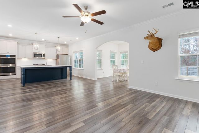 822 Ruskin Drive, Chapin, SC 29036