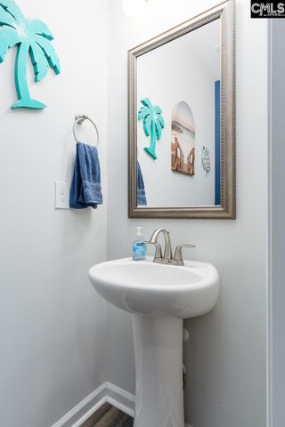 822 Ruskin Drive, Chapin, SC 29036